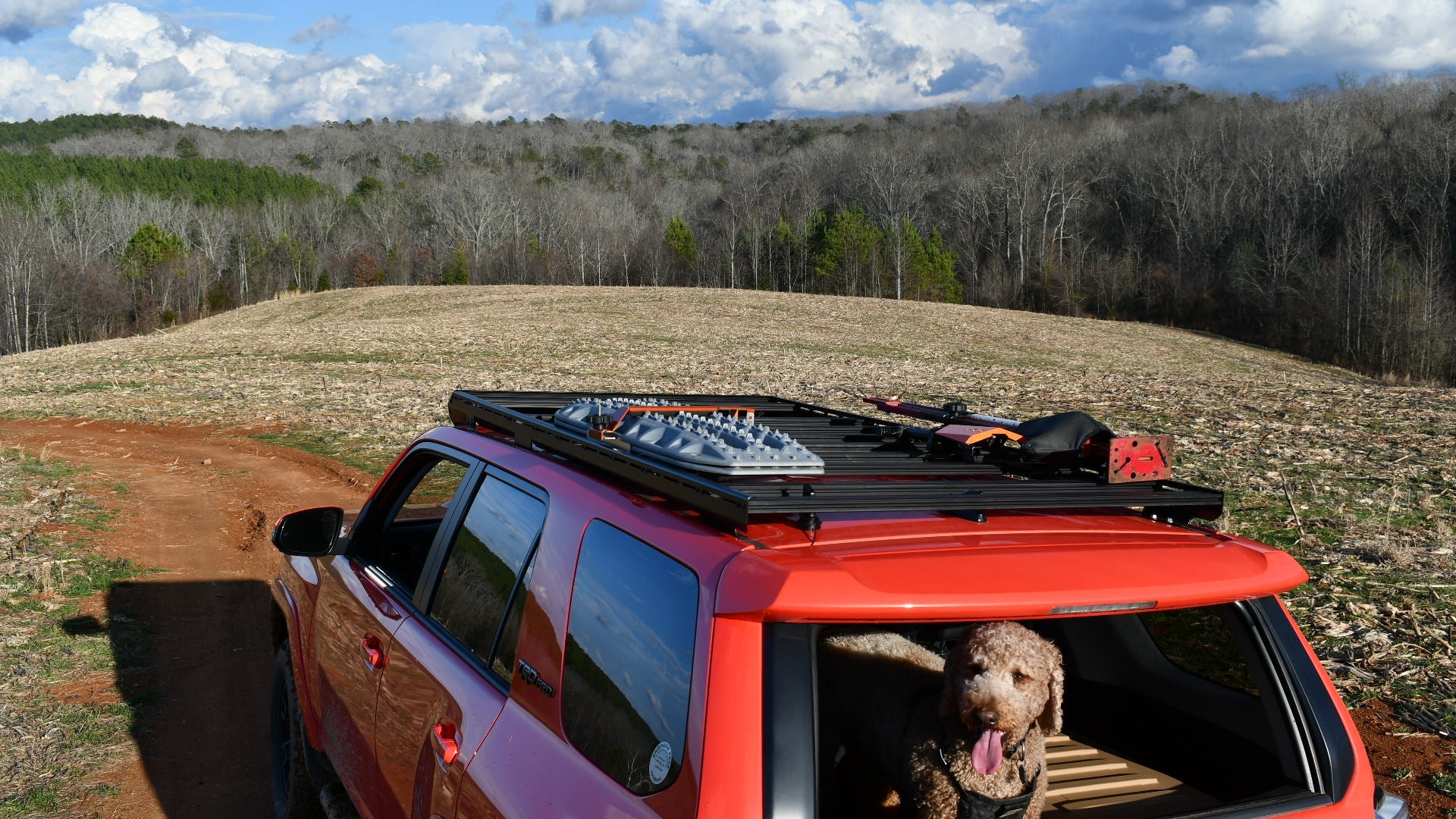 A brown dog sits in the back of a red 5th Gen 4Runner with a Ruggedized Low Profile Full Rack mounted on top, parked on a dirt path in a field, with forested hills and a partly cloudy sky beyond. Recovery gear is secured on the roof rack.