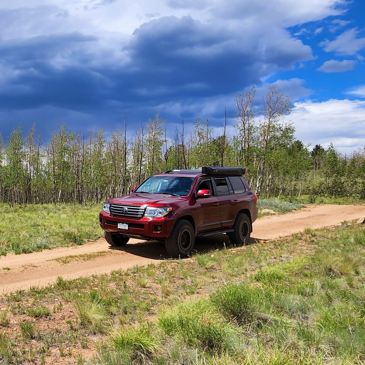 A Land Cruiser 200 with off-road tires, roof rails, and a Ruggedized Crossbar Kit - Land Cruiser 200 is parked on a dirt road in a grassy field beneath green trees and a partly cloudy blue sky.