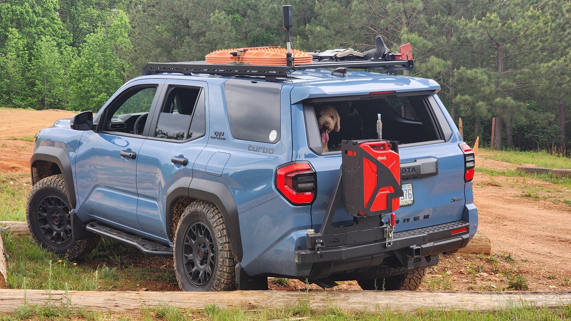 A blue off-road SUV with a Ruggedized Low Profile Roof Rack - 6th Gen 4Runner is parked on a dirt trail near a forest. A dog looks out the rear window, with spare gear and a red fuel canister mounted on the back.