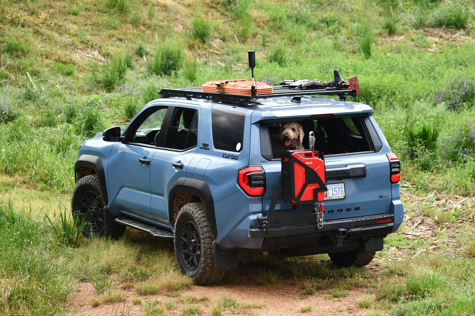 A blue off-road SUV with a Ruggedized Low Profile Roof Rack for the 6th Gen 4Runner is parked on grass, dog peeking from the rear window. Off-road gear and fuel canisters are mounted on the rack, amidst lush green vegetation.