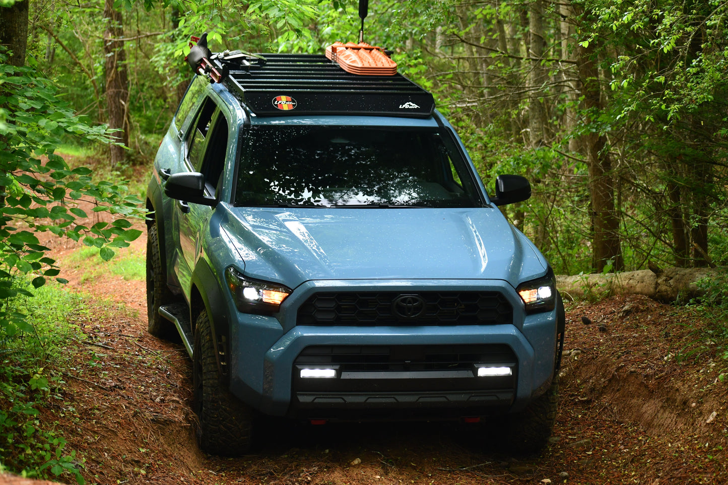 A blue SUV with a Ruggedized Low Profile Roof Rack - 6th Gen 4Runner, packed with off-road gear, navigates a narrow forest trail surrounded by lush green trees and foliage.
