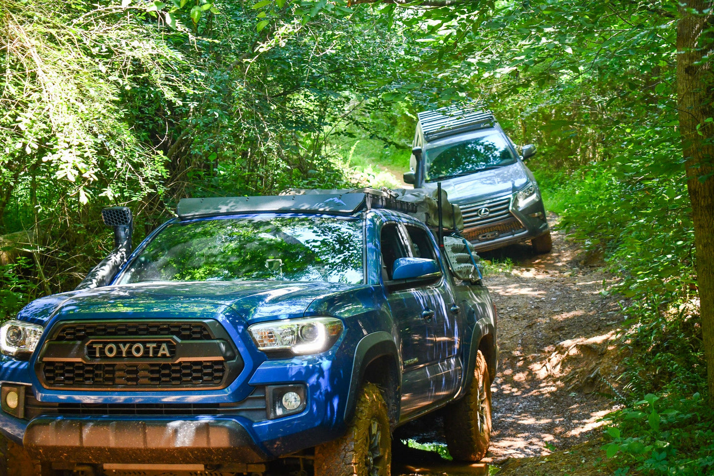 A blue Tacoma with a Low Profile Extrusion Rack (2nd/3rd Gen) and a silver SUV drive along a narrow, muddy forest trail surrounded by lush green trees and dense foliage.