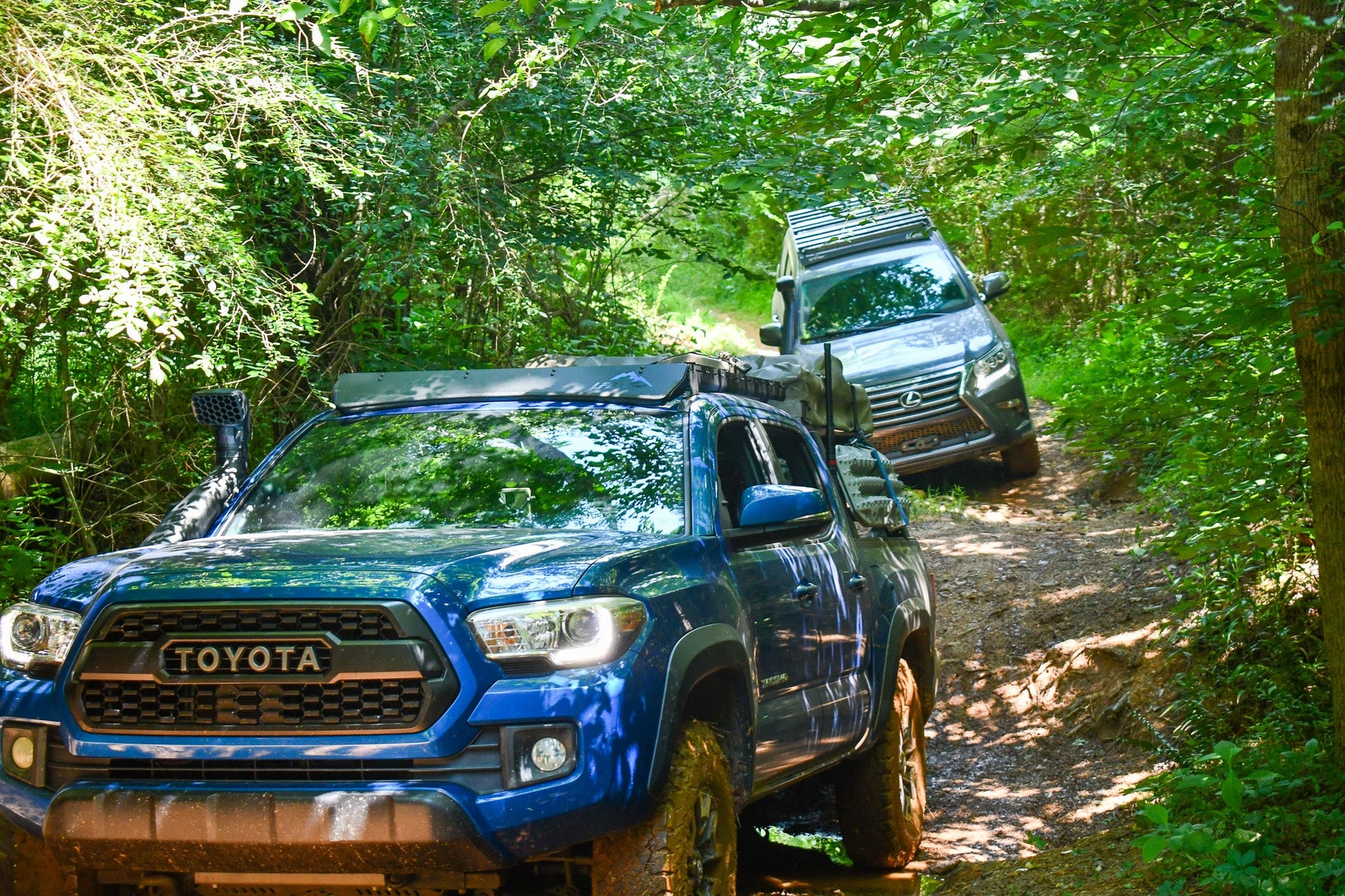 A blue Tacoma with a Low Profile Extrusion Rack (2nd/3rd Gen) and a silver SUV drive along a narrow, muddy forest trail surrounded by lush green trees and dense foliage.
